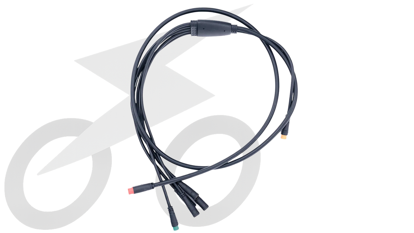 QMWHEEL V20 Kabelboom 2 PINS