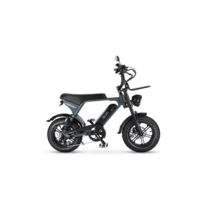 MINI fatbikes