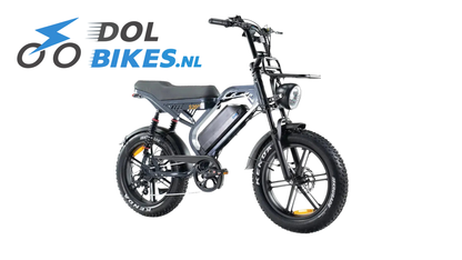 QMWheel S20 Pro - Grijs