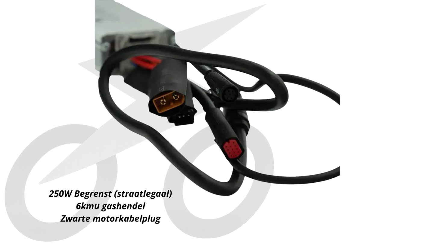 QMWHEEL V20 controller (250w)  (zwarte plug)