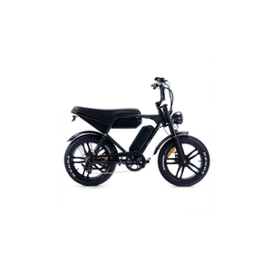 Alle Fatbikes